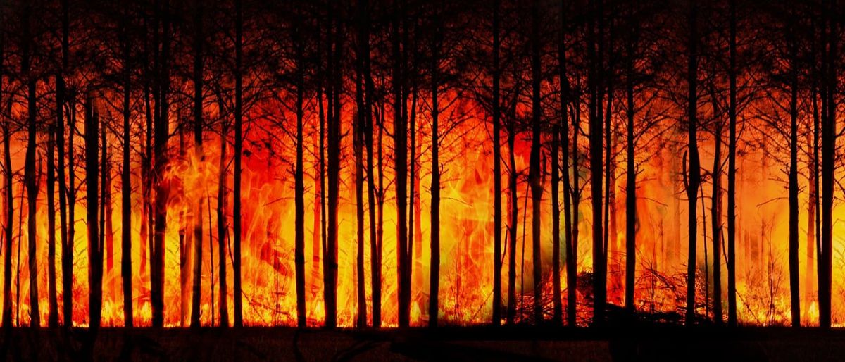 The Los Angeles Wildfires: What Can We Learn About Simultaneous Event Risk Planning?