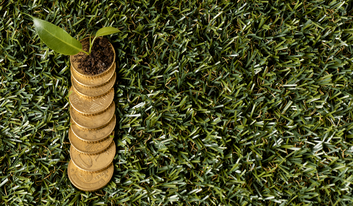 Nature Risk Is Becoming Impossible for Finance to Ignore