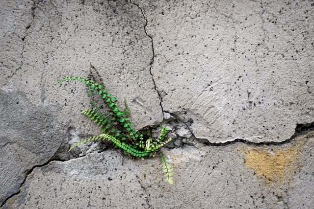 Operational resilience must move beyond compliance to survival