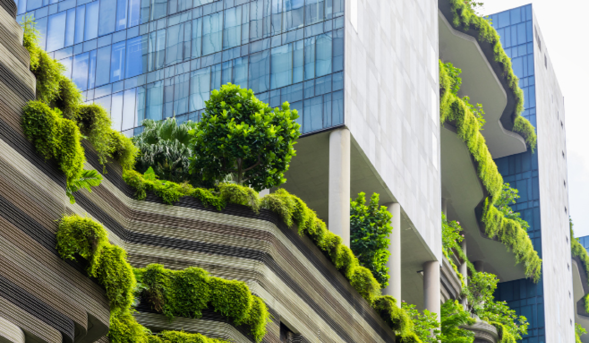 Understanding the Singular Challenge of ESG Reporting and Governance