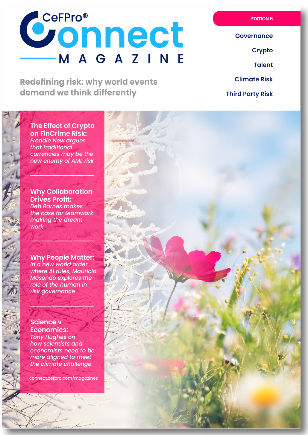 Issue 6