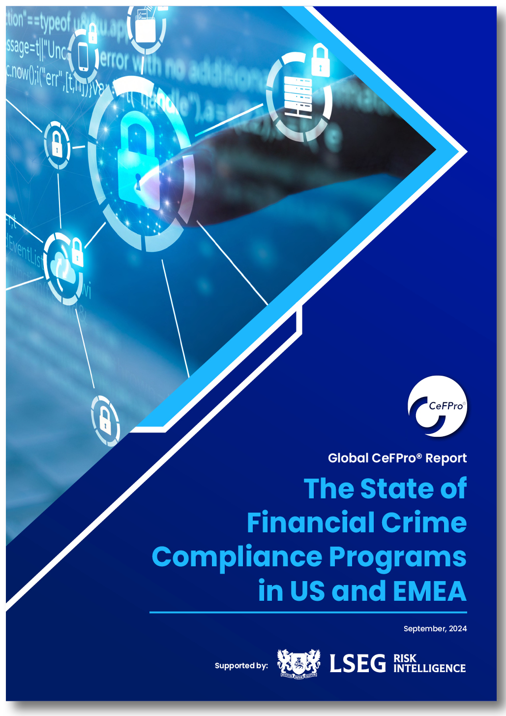 The State of Financial Crime Compliance Programs in US and EMEA
